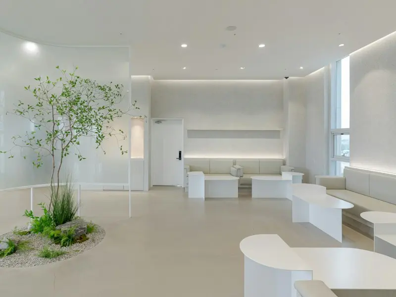 A calm white lobby with a small indoor tree and low seating
